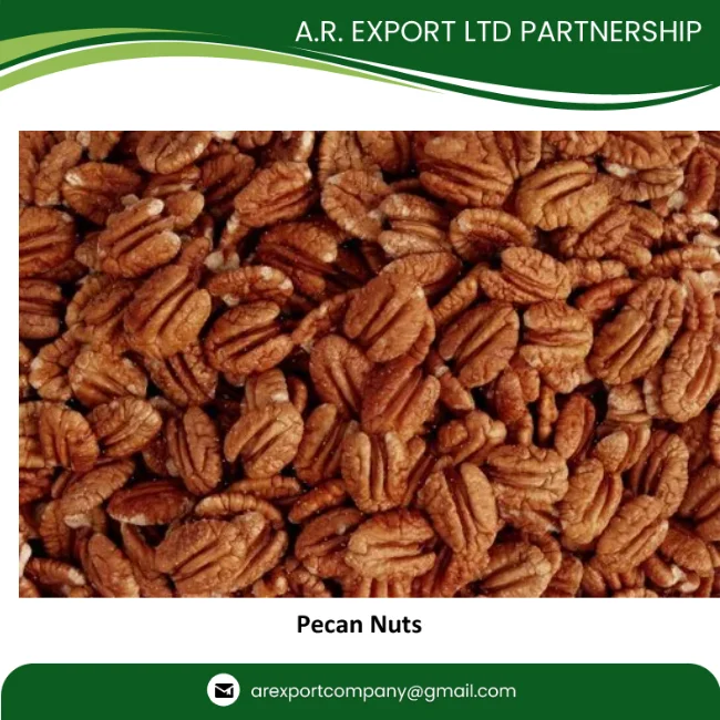 Healthy and Organic Pecan Nut Exporter from Thailand Ready Available to Export at Best Price