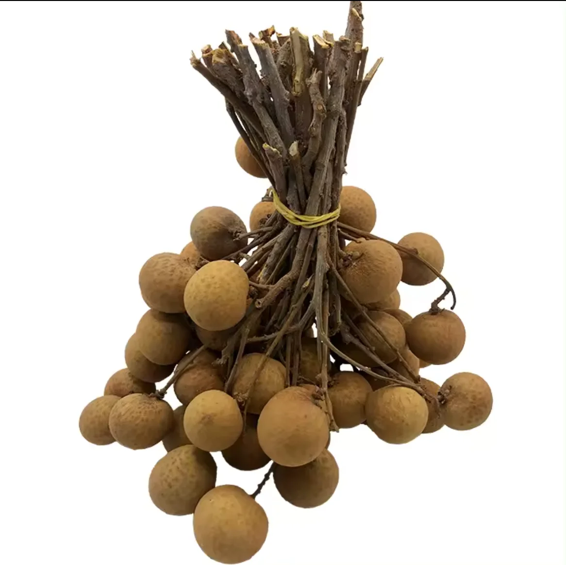 l2.png