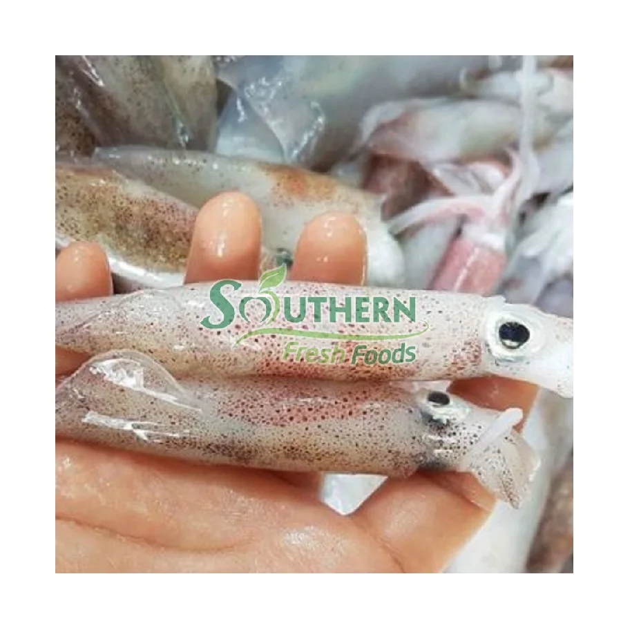 Supplier nature High content squid Frozen feature calamari Calamari Loligo Squid Wild Caught SFF from Vietnam