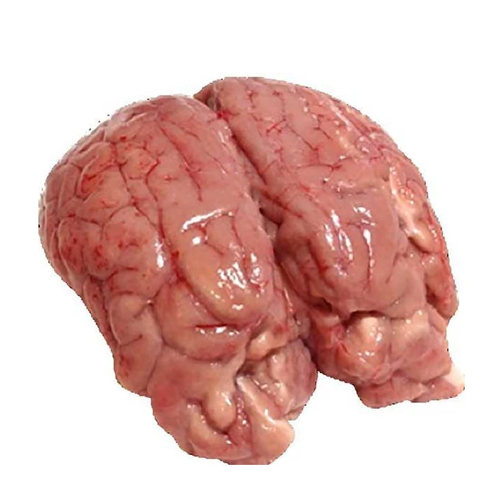low price Healthy Beef Brain Premium Quality  High Quality Beef Brain Customer Demand Best Price