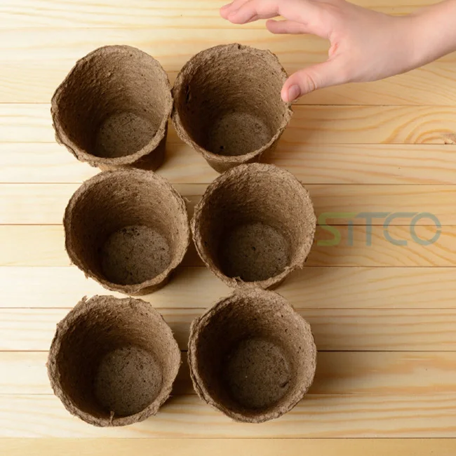 COIR SEEDLING CUP FOR SALE FROM INDIA