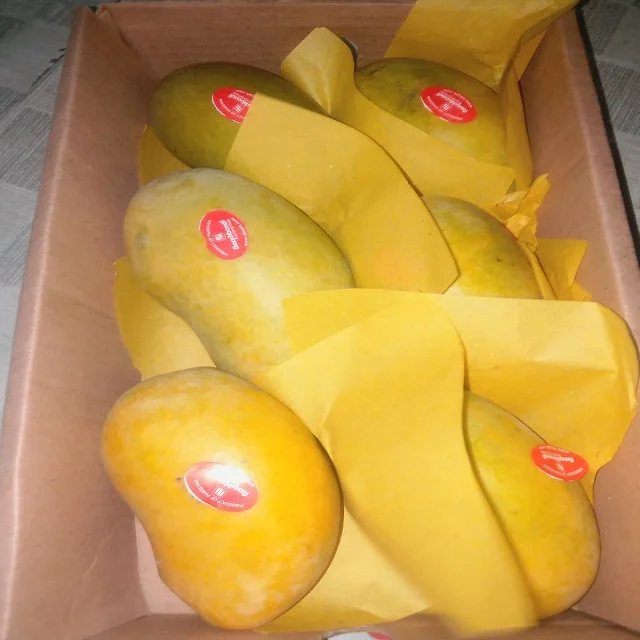 Fresh Chaunsa экспортеры манго в Пакистане желтая тропическая коробка сладкий урожай стиль упаковки цвет вес