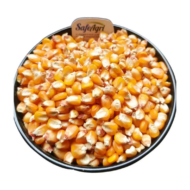 Yellow Corn of Superior Quality from IndiaPremium Grade Maize with 14% Max Moisture and AD Dried Yellow Colour for Animal Feed