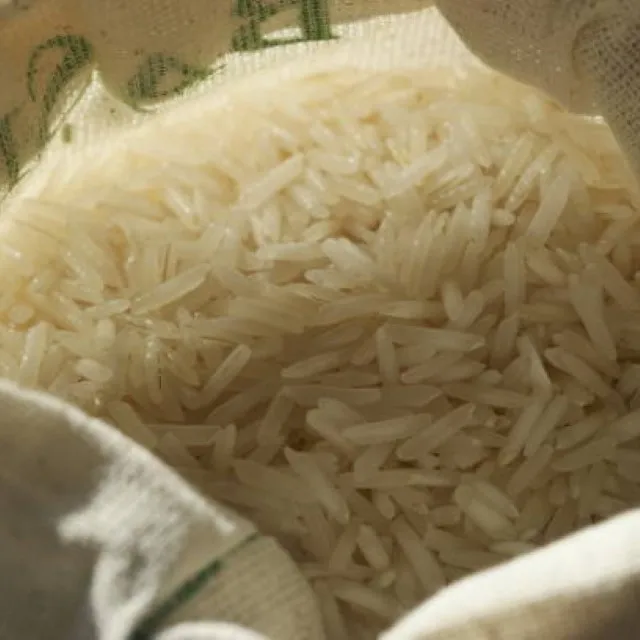 Top Quality New Crop Long Grain Indian Basmati Rice Low Price Creamy Sella Rice from Indian Exporter and Supplier