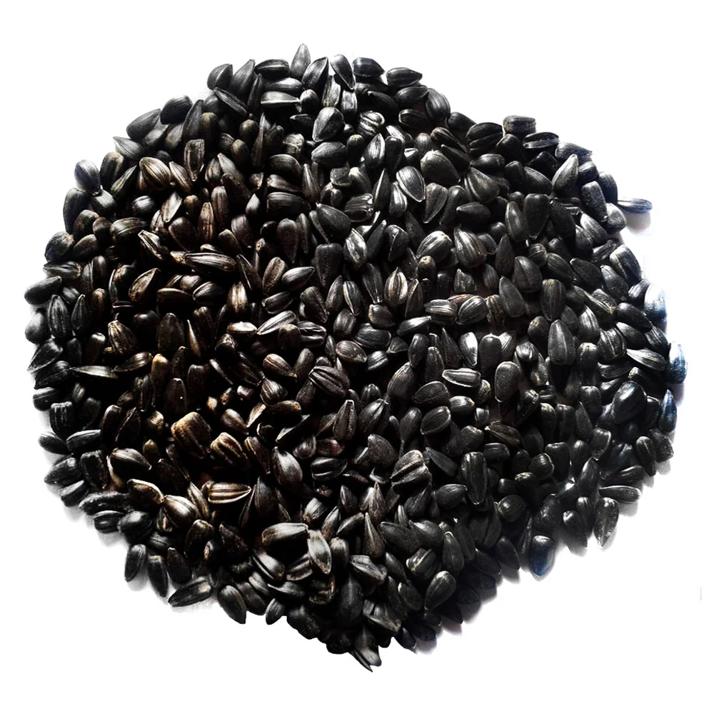 Top quality sunflower seeds manufacturer prices bulk selling sunflower seeds
