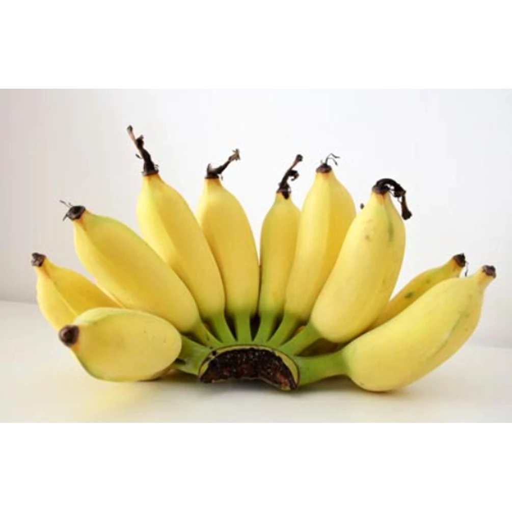 Pure Banana Chips Added Salt Diet Healthy Snack Crispy Dried Fruit Best Selling Premium Quality Product of Thailand