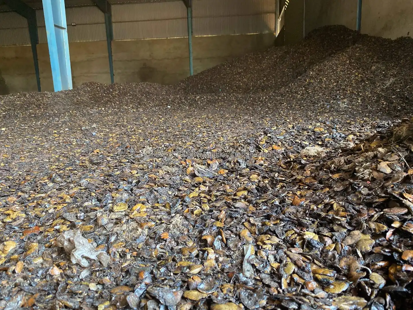 CASHEW HUSK RESIDUE.jpg