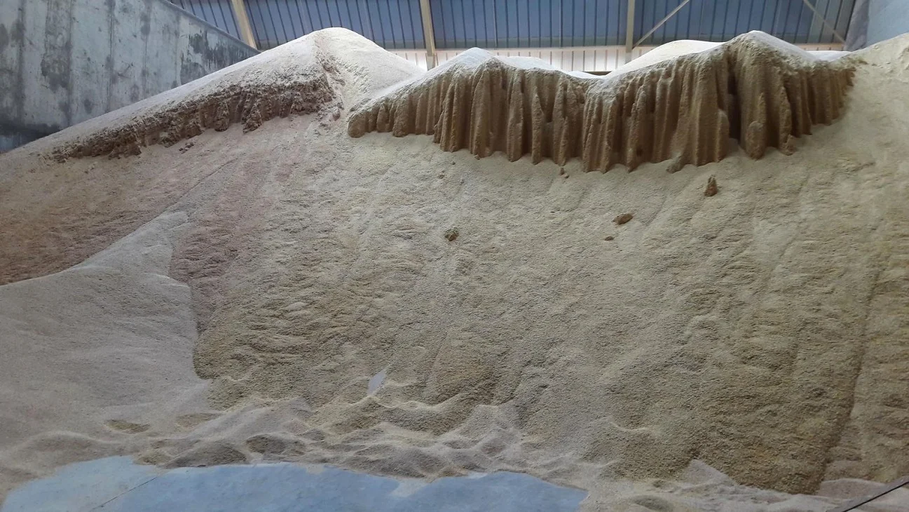 On Sales 46% Protein Soybean Meal - Soya bean meal for animal feed