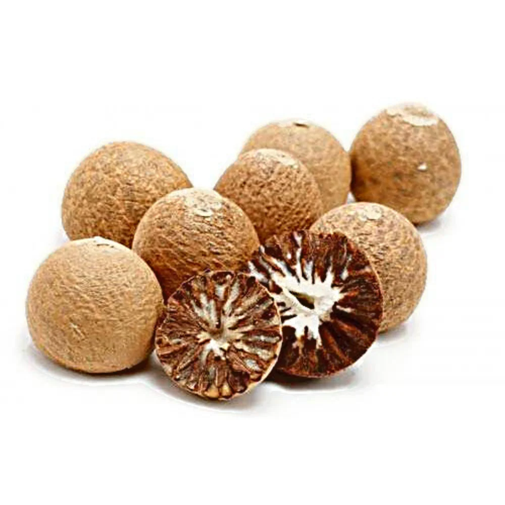 DRIED BETEL NUT with high quality and competitive price from Vietnam