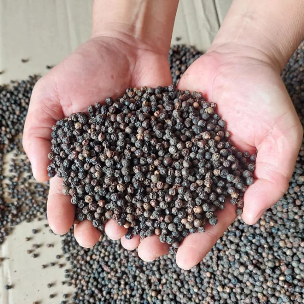 Черный перец оптом высокое качество низкая цена от Phalco Vietnam