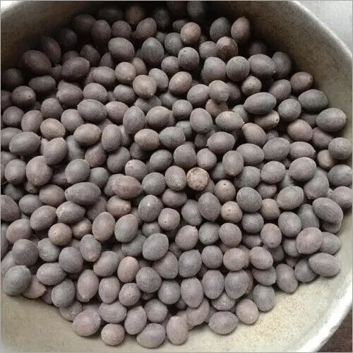 Оптовая продажа семена Черного Лотоса натурального происхождения лотоса изготовленные группой VINAPRO