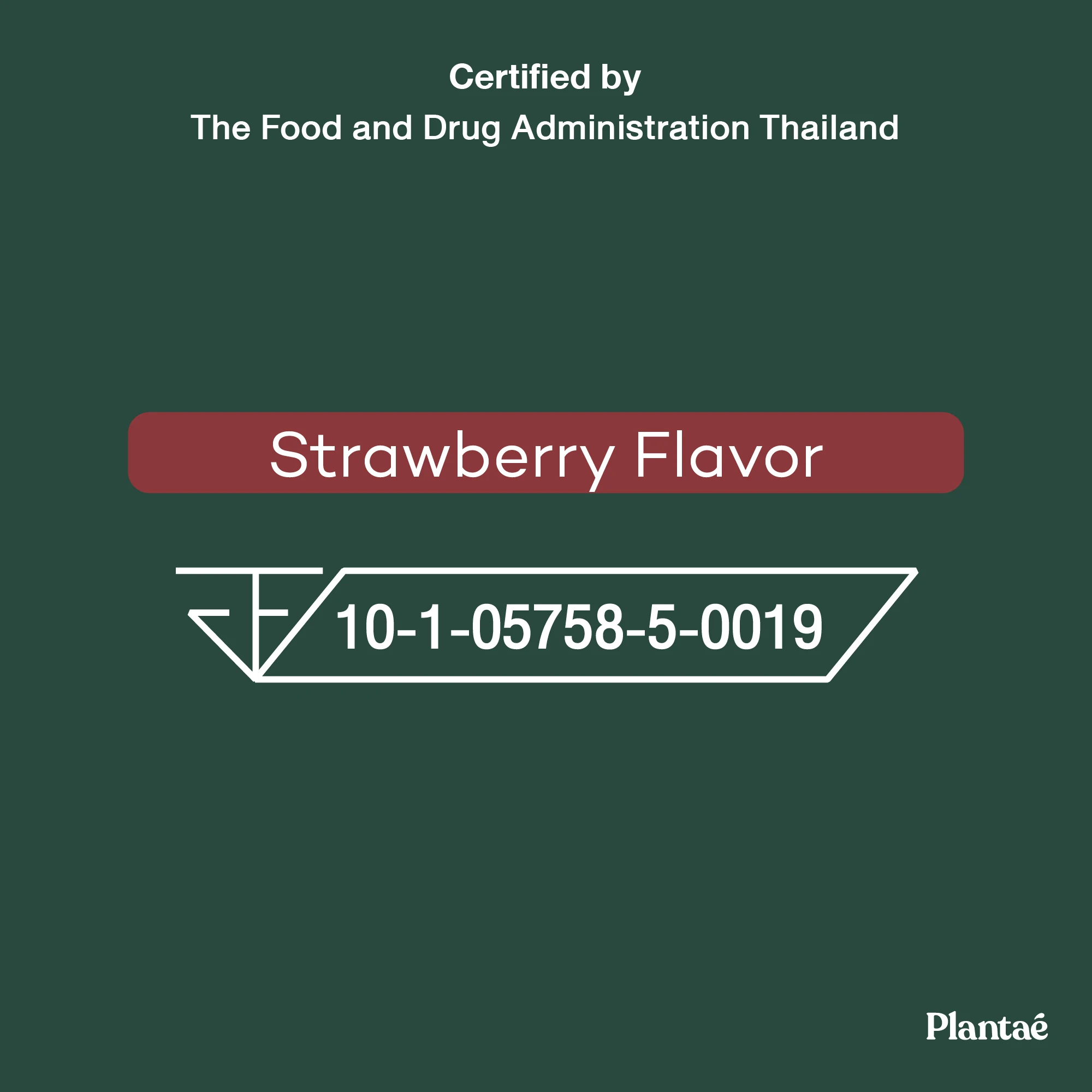 New Updated! High Quality Best Seller Complete Plant Protein + Collagen Booster Strawberry from Thailand 800g