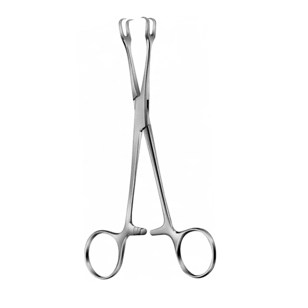 Lahey Manual Tissue Grasping Forceps with 2x2 Prongs Surgical Instruments made of Steel