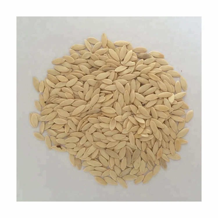 Hybrid (F1) Cucumber Seed - 20 seeds for sale