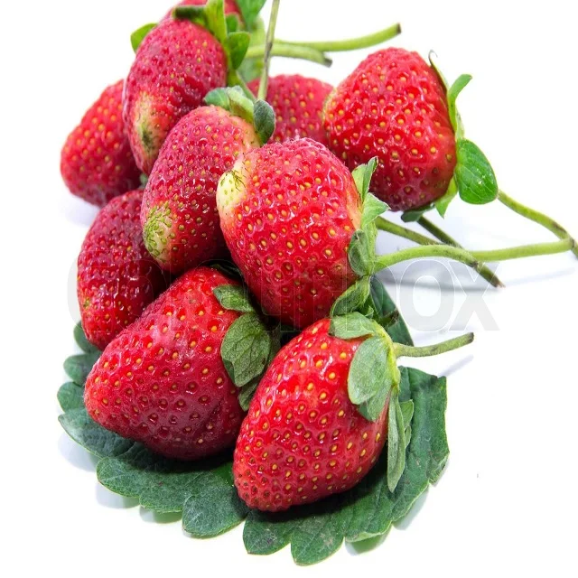 Fresh Strawberries Wholesale Cheap Price Premium Natural Sweet Flavor Buy Available In Stock