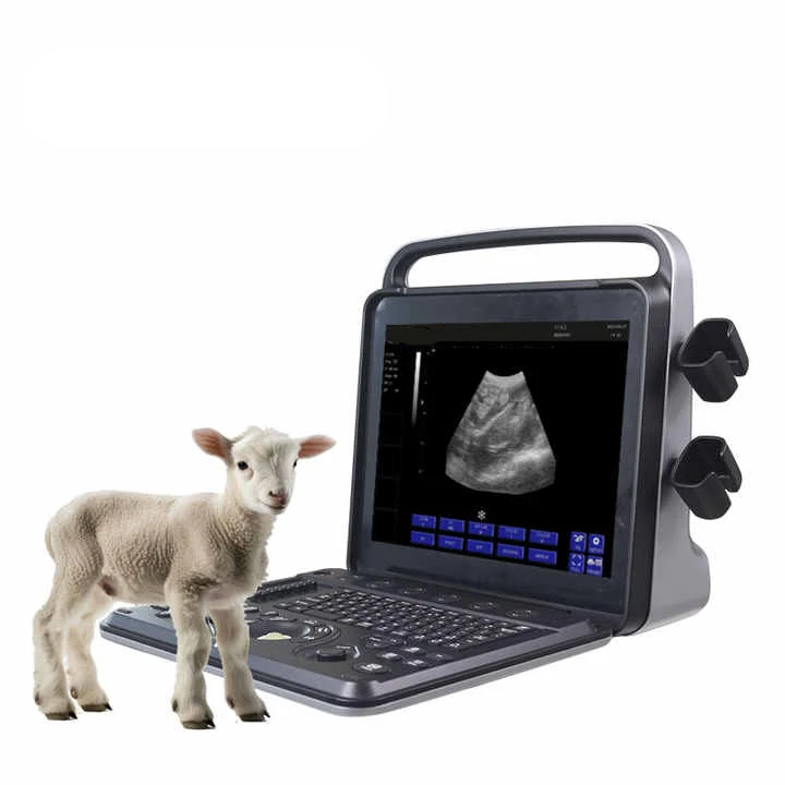 Veterinary Ultrasound Equipment Portable Ultrasound Scanner Veterinary Ultrasound Scanner For Pregnancy Tests