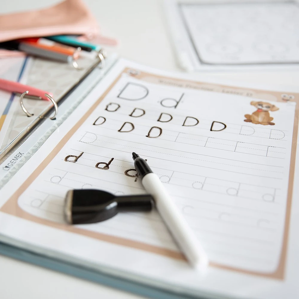 Wholesale Supply Ultra Clear Polypropylene A4 Letter Size Sheet Protector to Protect and Preserve Document at Good Price