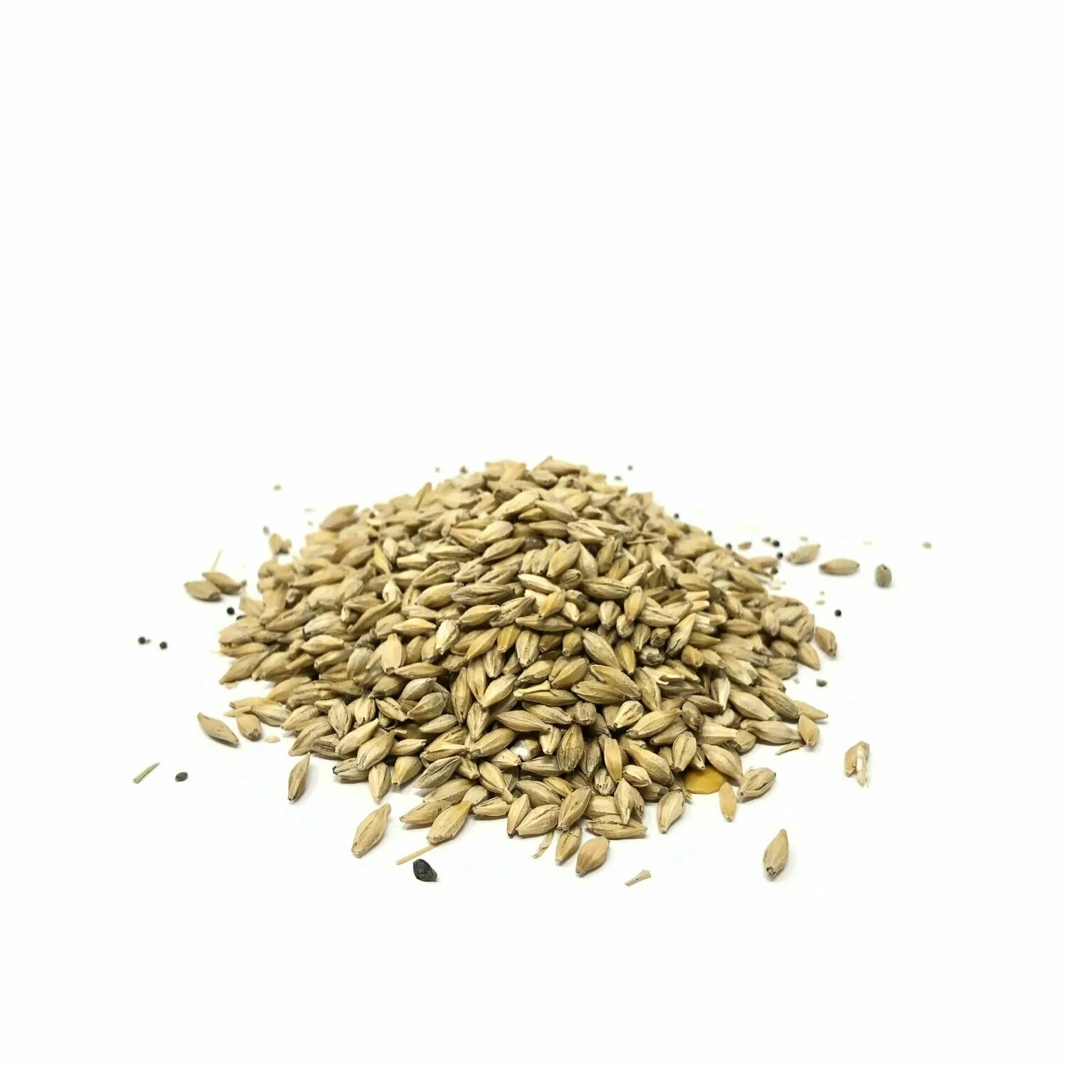 Premium Quality Wholesale Canary Seeds Organic Animal Feed Ready For Export