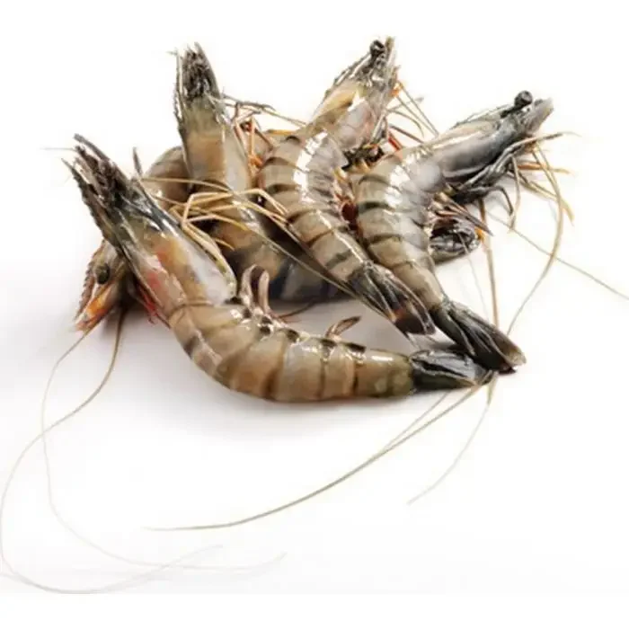 Wholesale Best Quality Frozen Shrimps Frozen for sales at best competitive market prices you can get