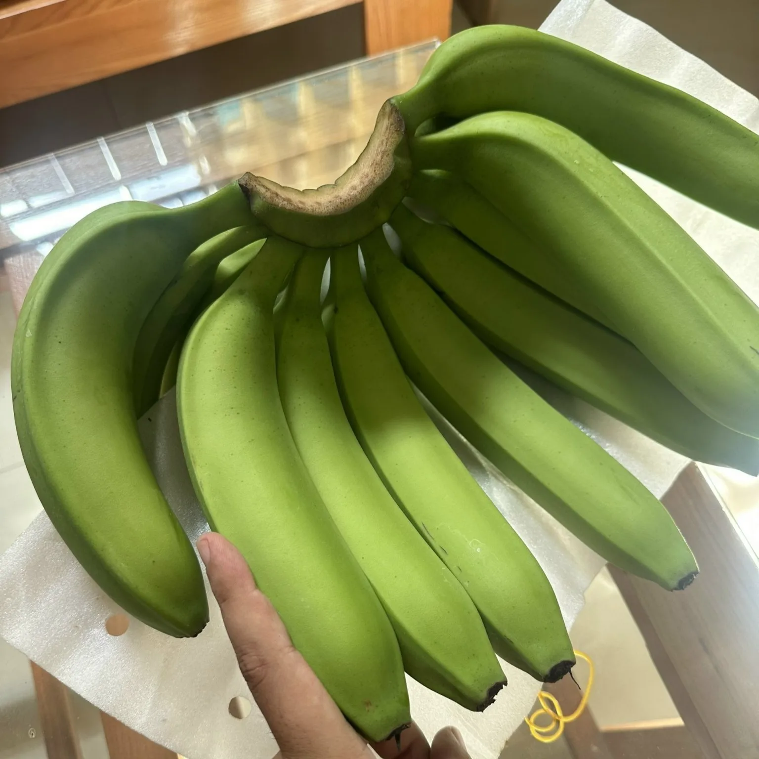 High Quality Fresh Banana in Bulk Sourced from Vietnam Hot Product