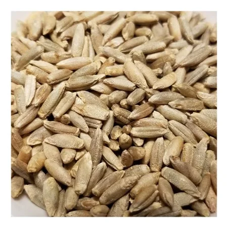 Organic Rye Grains /Organics Certified Organic Rye Berries |5lbs Whole Rye Grains |Great for Breads Wholesale Organic