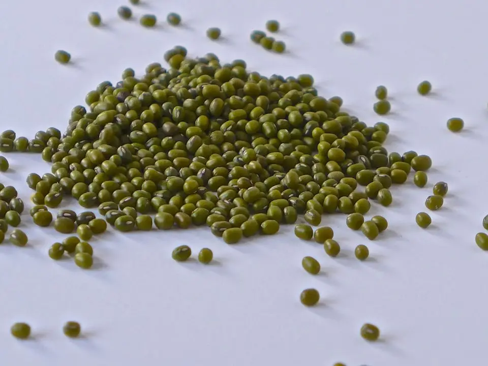 Green Mung Beans