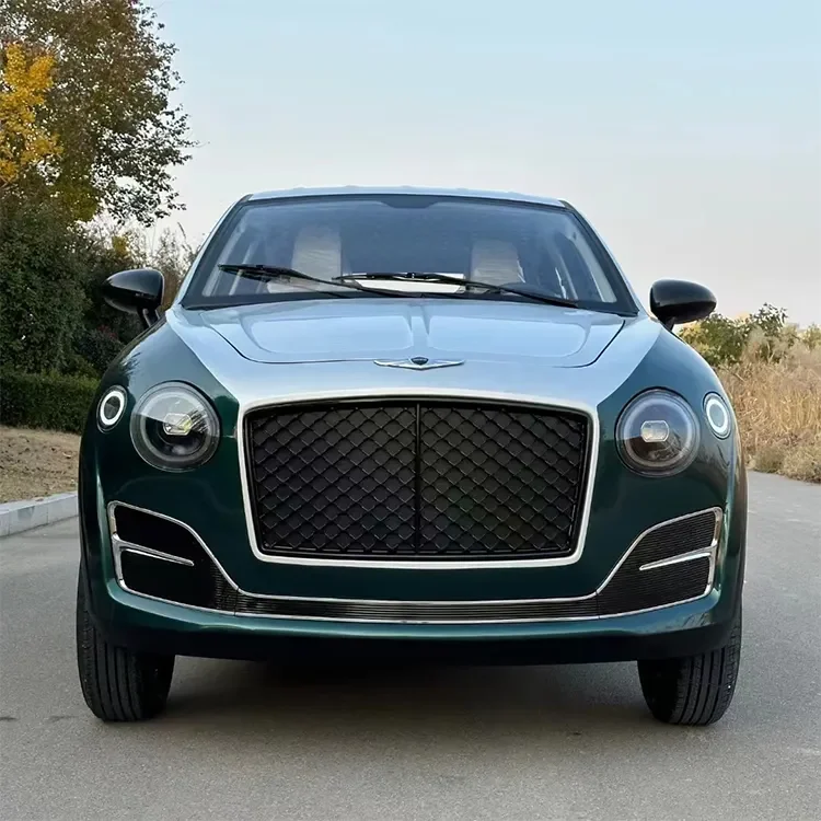 2023EV Mini Car 4-wheel High-speed Electric Vehicle Lithium Iron 305KM 301KM 3-Door 4-Seat MINICAR