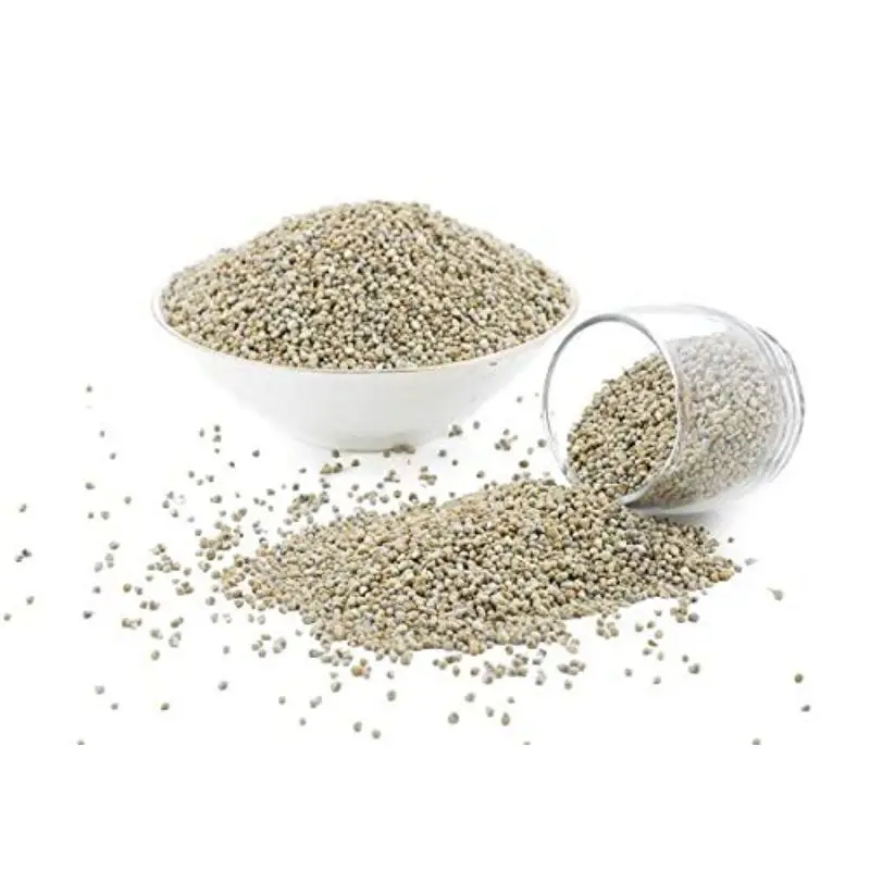 Bajra / Green Millet for animal feed in foreign matter 3% exporter by MN GLOBAL IMPEX