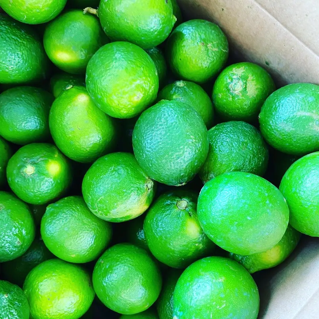 fresh seedless lime 9.jpg