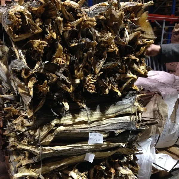 Dry Stock Fish / Dry Stock Fish Head / Dried Salted Cod