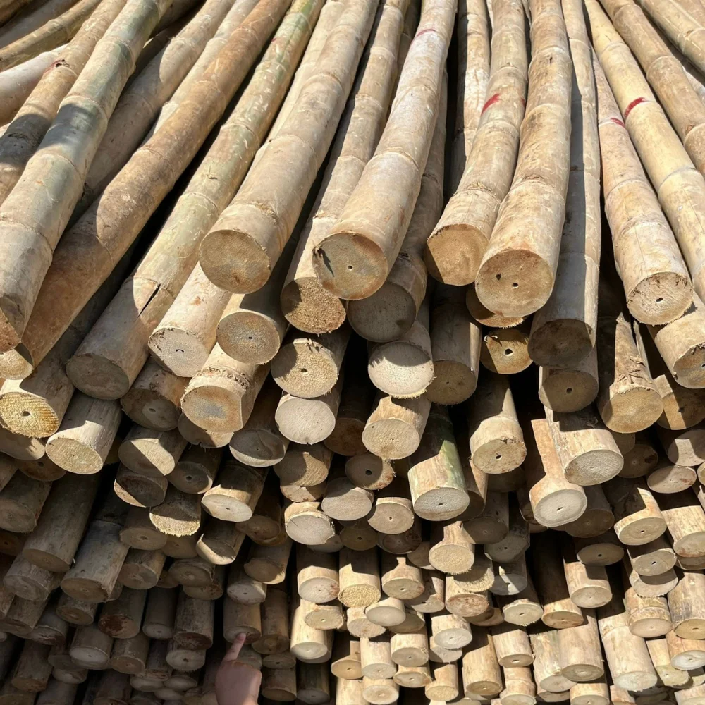 Bamboo Poles Decor Eco Friendly Products Natural Bamboo For Decor And Construction Bamboo Cane with Top Service