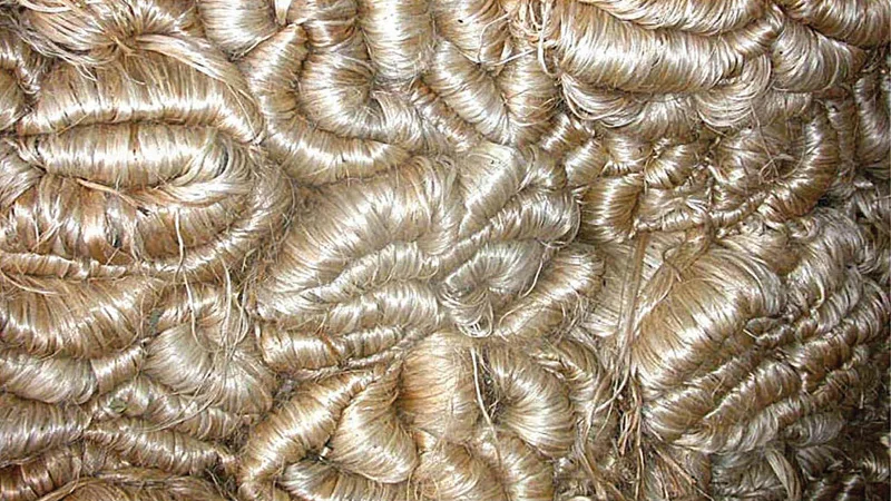 Best Quality Direct Factory Supply High Grade & Low Price 100% Natural Raw Jute Color Moisture Raw Jute Fiber From Bangladesh