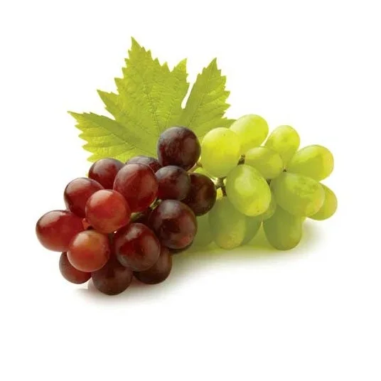 100% Pure Natural Quality Fresh Fruit Grapes At Best Wholesale Pricing