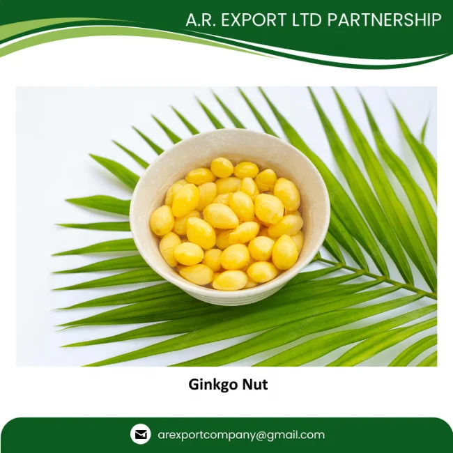 Best Grade Quality Ginkgo Nuts in Thailand from Premium Ginkgo Nuts Exporter