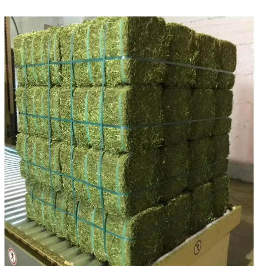 Animal Feeding Timothy or Alfalfa Hay in Bales for Sale for Wholesale/ Super Top Quality Alfalfa Hay