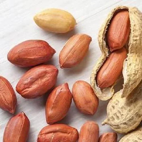 Premium Grade Raw Peanut / Raw Groundnuts / Raw Peanut in Shell for sale