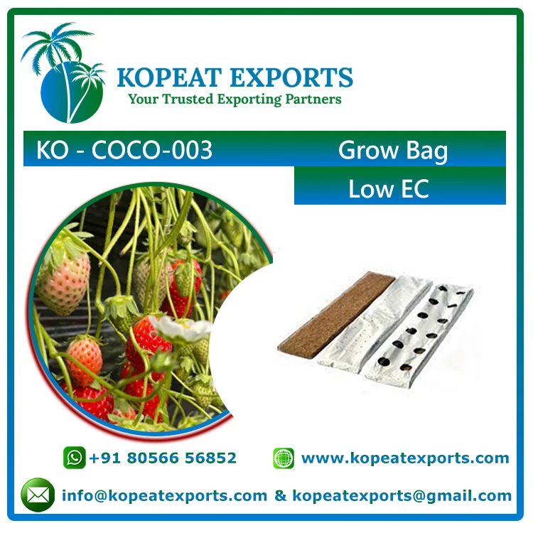 Indias Leading Supplier of Top Selling LowPrice Coconut Coco Coir Pith Grow Bags for Growing Vegetables and Fruits like berries