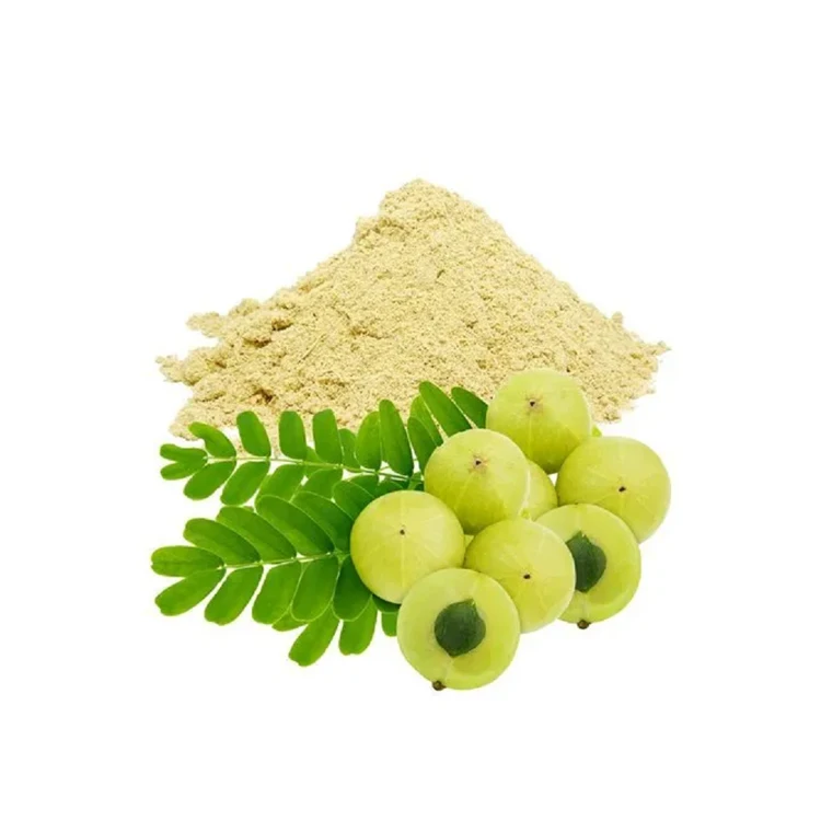 Fresh Quality Cosmetic Grade Wholesale Pure and Natural Amla Extract Powder from Indian Supplier at Bulk Price