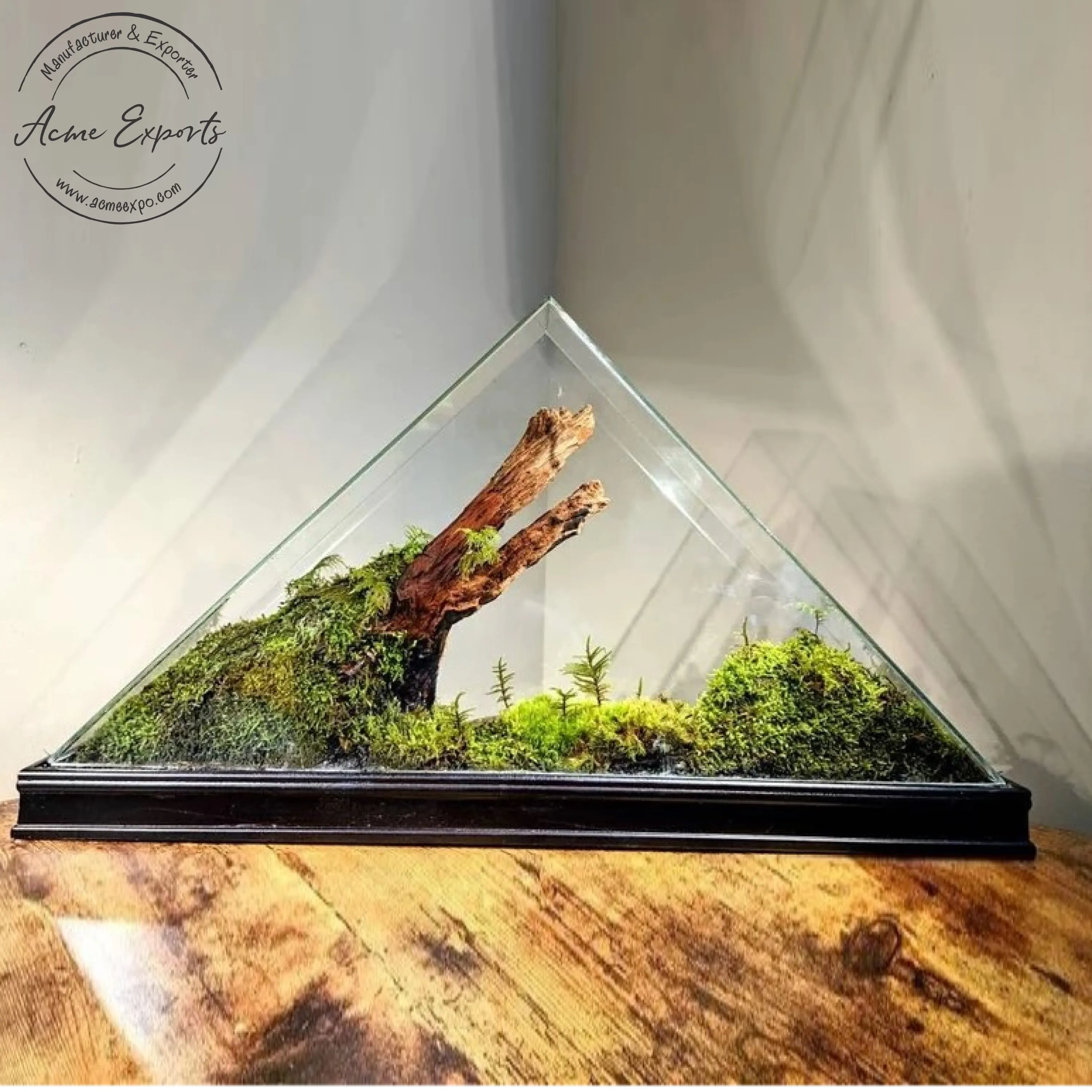 Best Price Large Triangular Glass Succulent Plant Terrarium Planter with Iron Frame for Home Garden Office Decoration.