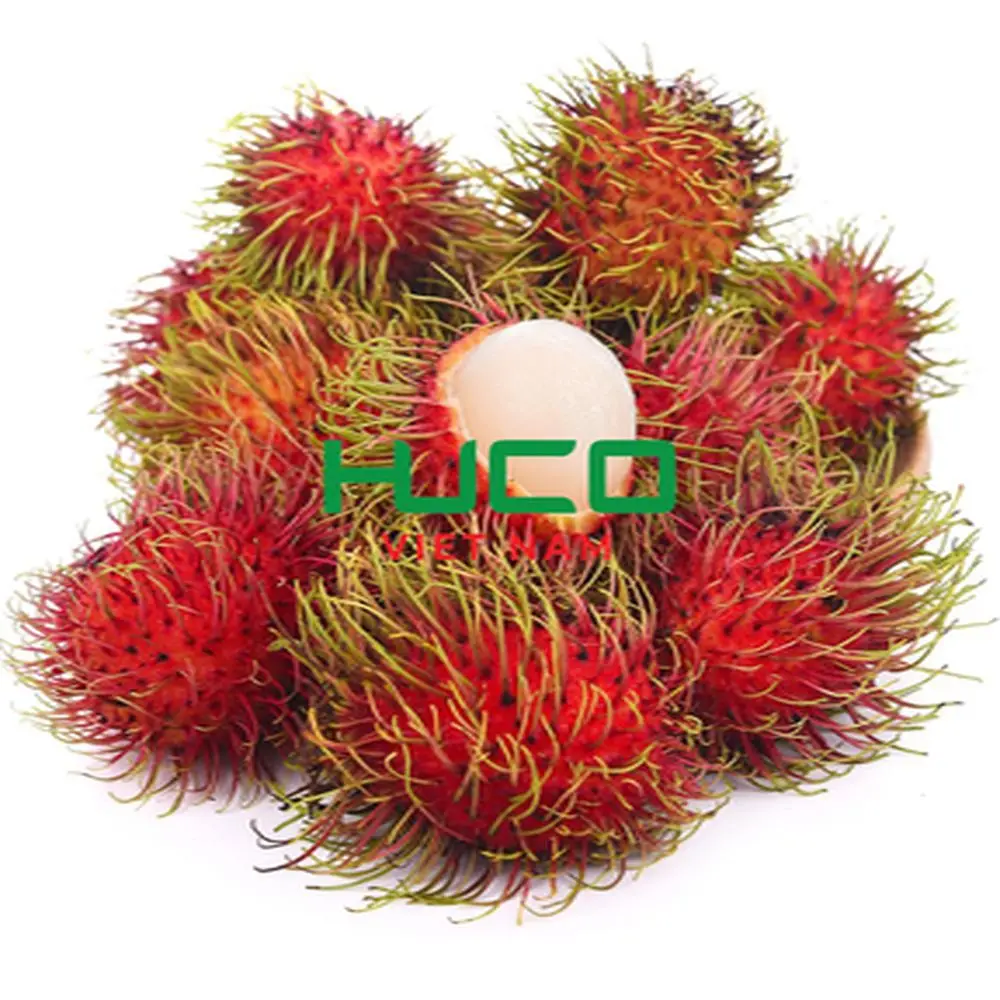 Best Quality Good Price 100% Organic Fresh Rambutan From Vietnam