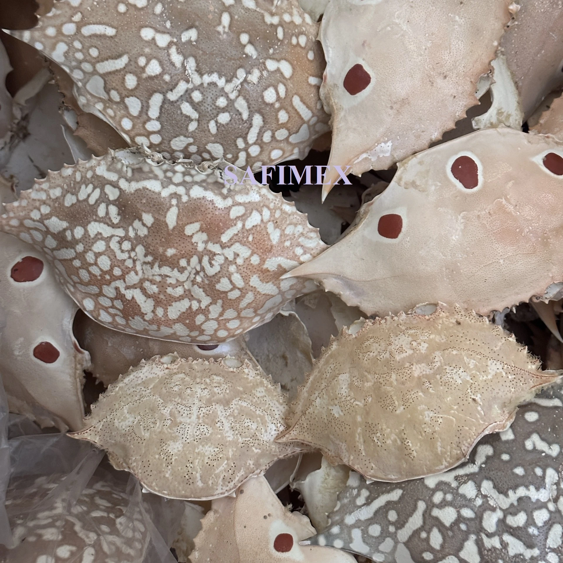 Раковина для краба