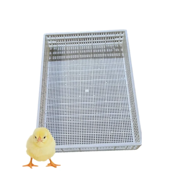 Poultry Plastic Slat Floor High Quality New Design for Chicken Poultry Equipment Customization Vietnam Manufacturer