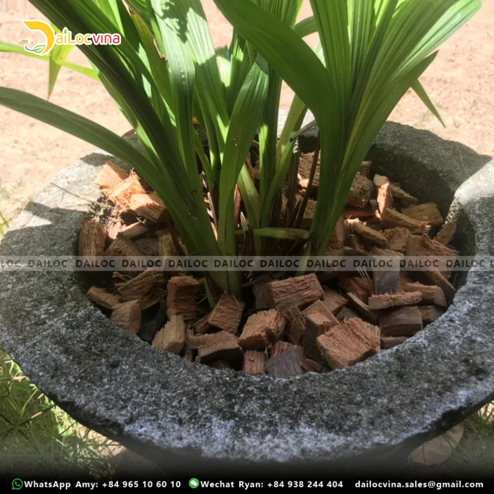 COCO HUSK CHIPS 2*2CM SUPPLIER CHEAP PRICE MS. DORIS +84 785525348