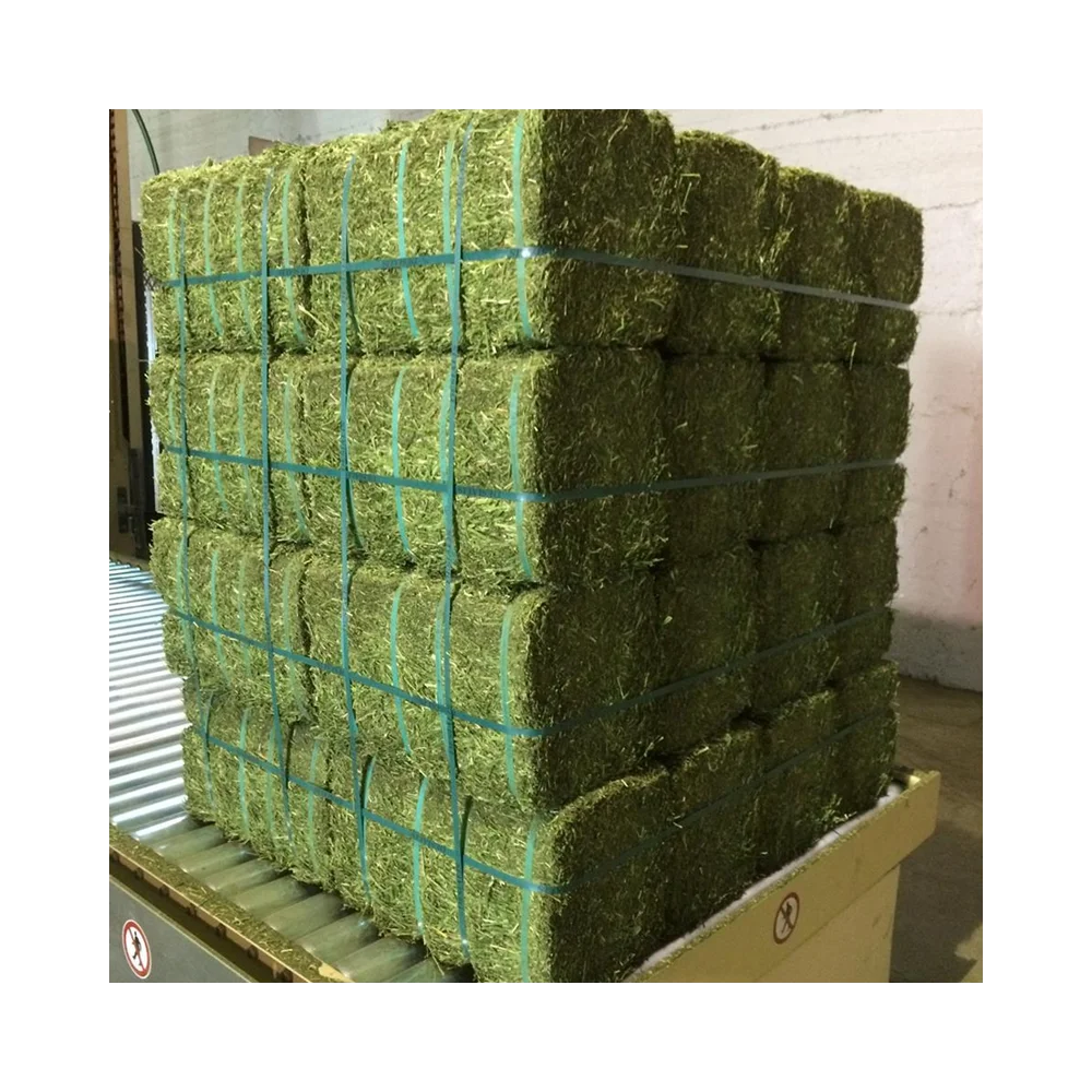 Высокопротеиновый Альфальфа Сено/Люцерна сено в тюках/Сено Тимоти для продажи и экспорта