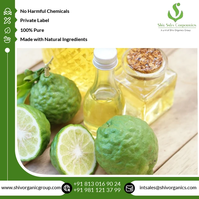 Best Quality Top Selling 100% Natural & Pure Bergamot Essential Oil for Wholesale Buyers
