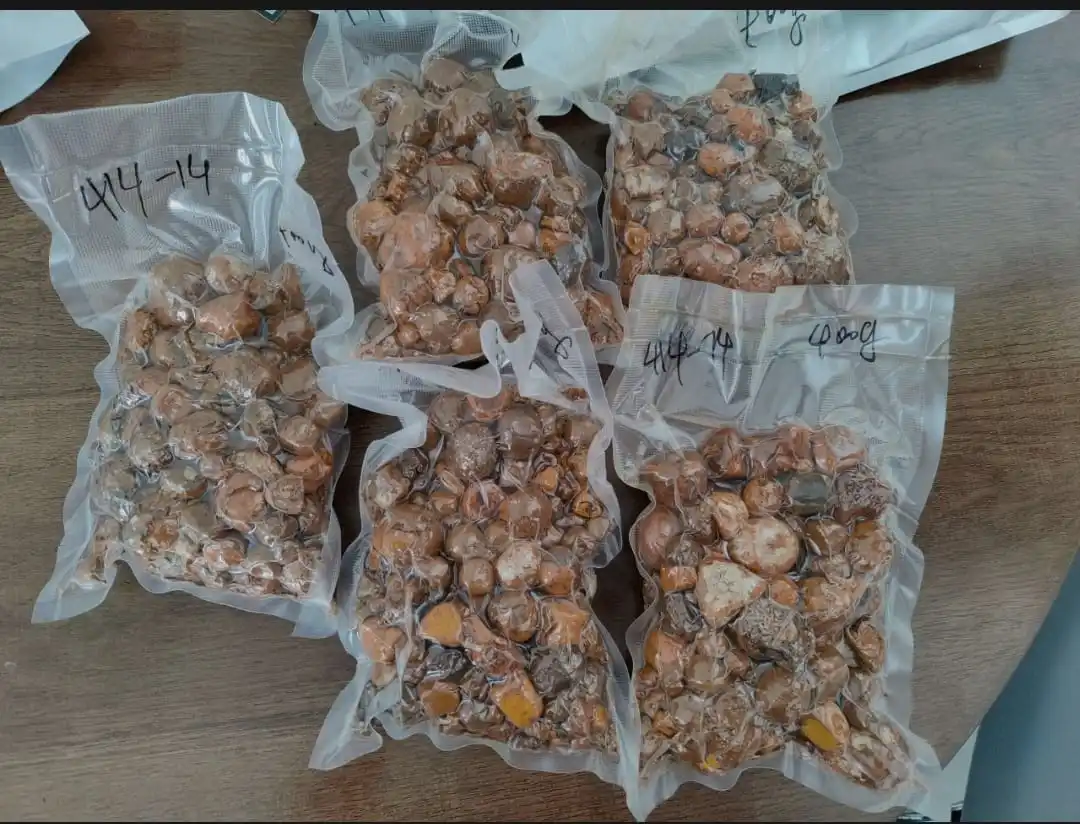 Cow Gallstones yl a.jpg