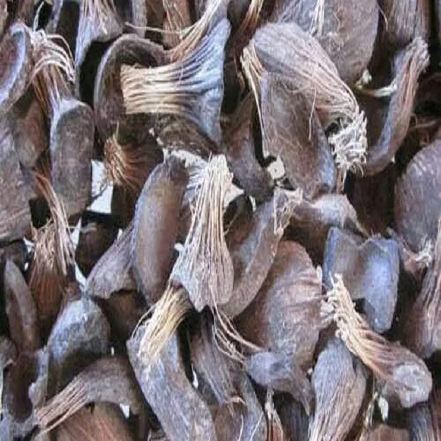 Cheap and Quality Palm Kernel Shell from Agricultural Waste with good price