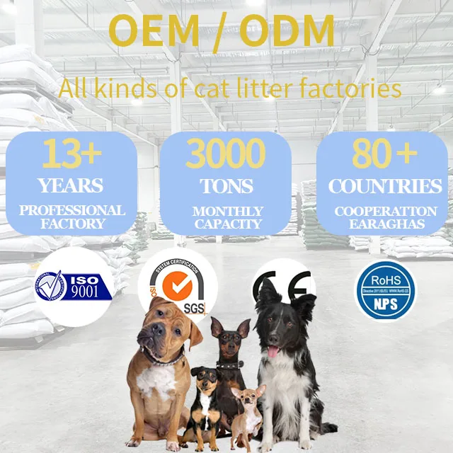 Wholesale cat food 10 pounds packed for cats and Kitten Pet Cat Dry Food