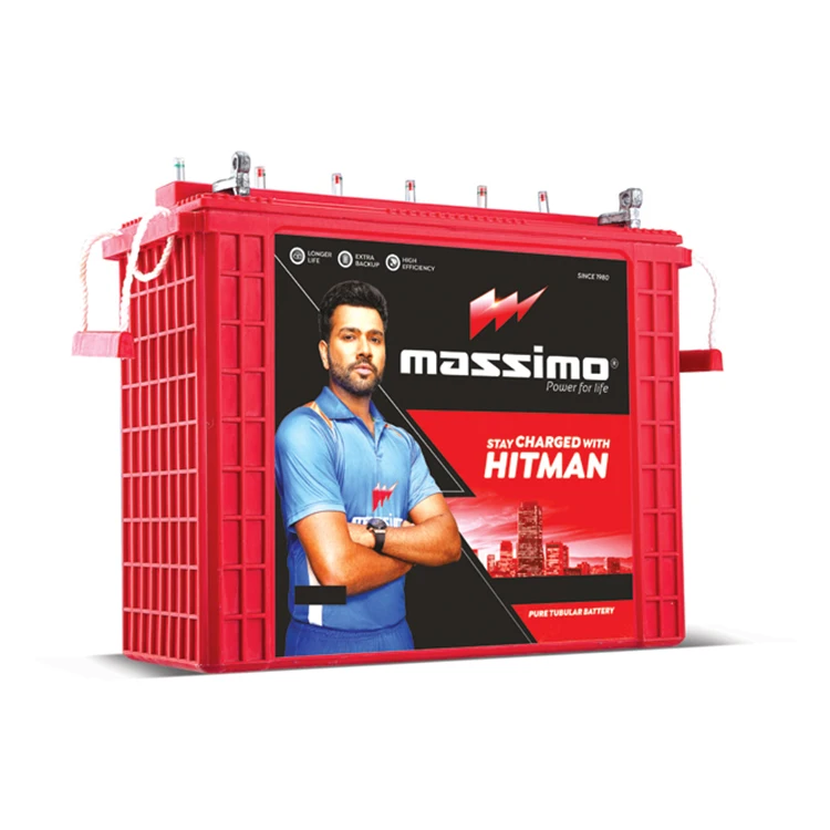 Indian Vendor Selling Long Life Cycle Inverter Usage Top Notch Quality 110AH Nominal Capacity Tall Tubular Battery