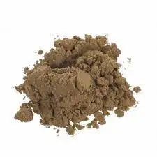coral  supply Pine Bark Extract Powder Wholesale indian  Maritime Pine Bark Extract 95% OPC Pine Bark Extract